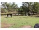 111 Rangeview Rd, Gin Gin QLD 4671