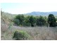 198 Tunnel Rd, Gin Gin QLD 4671