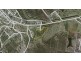 138 Salloom St, Gin Gin QLD 4671