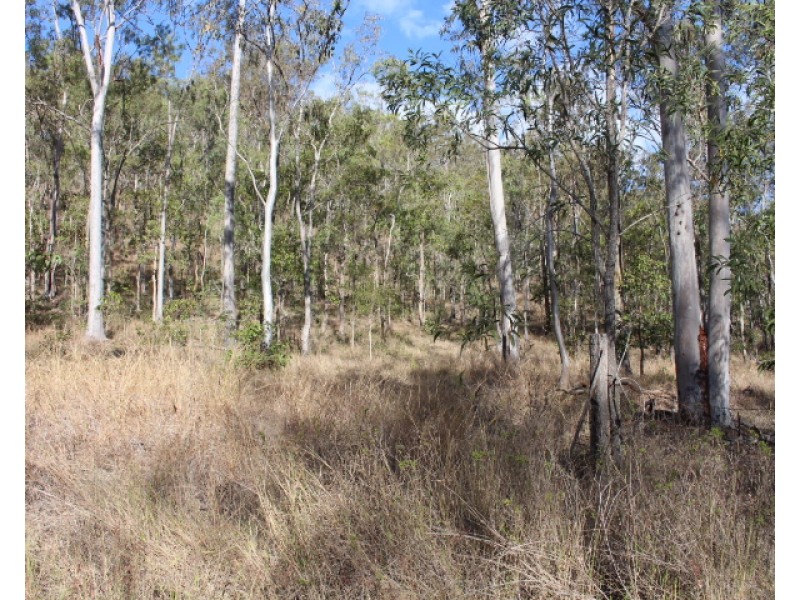 339 Goyan Rd, New Moonta QLD 4671