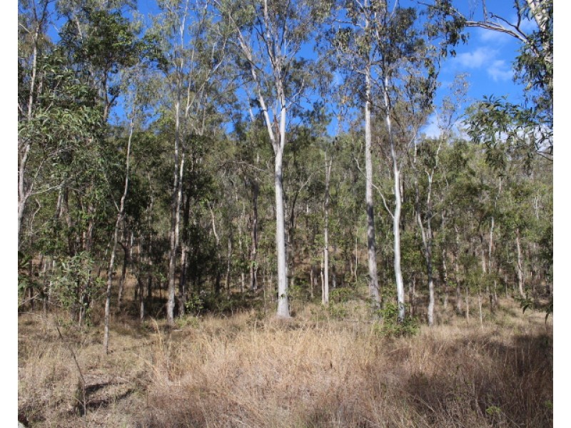 339 Goyan Rd, New Moonta QLD 4671