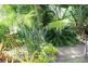 170 Halford Drive, Gin Gin QLD 4671