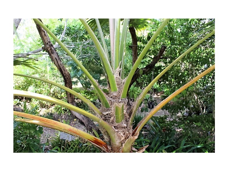 170 Halford Drive, Gin Gin QLD 4671