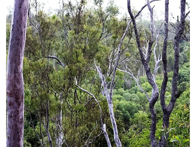 115 Thiels Rd, Gin Gin QLD 4671