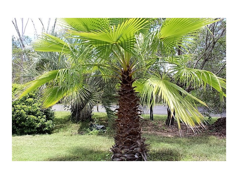 4 Village Lane, Gin Gin QLD 4671