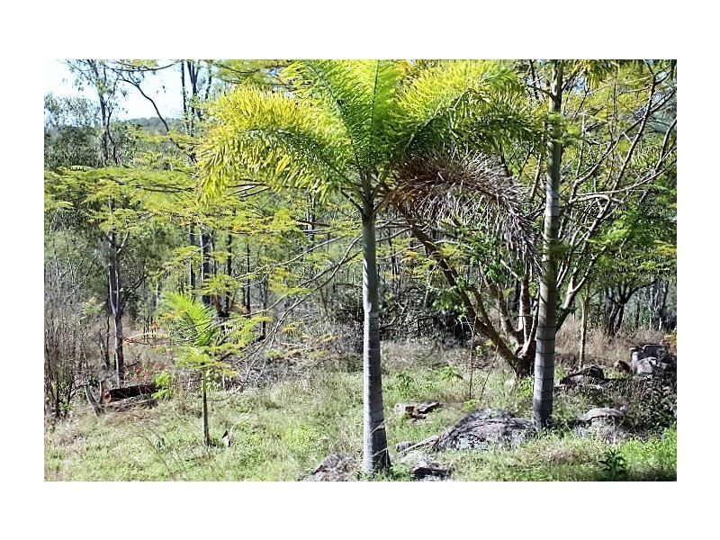 44E Claxton Rd, Kolonga QLD 4671