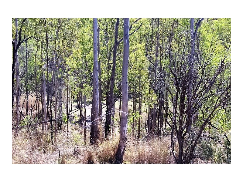 44E Claxton Rd, Kolonga QLD 4671