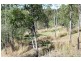 44E Claxton Rd, Kolonga QLD 4671