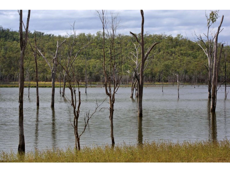 338 Rickards Rd,, Kolonga QLD 4671