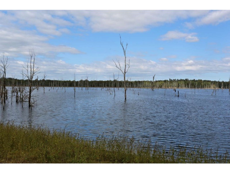 338 Rickards Rd,, Kolonga QLD 4671