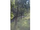 Lot 2 Tenningering Rd, Gin Gin QLD 4671