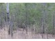 Lot 2 Moonta St, Mount Perry QLD 4671