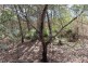 Lot 2 Moonta St, Mount Perry QLD 4671