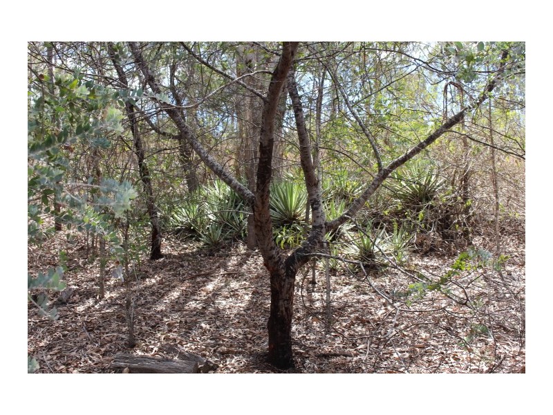 Lot 2 Moonta St, Mount Perry QLD 4671