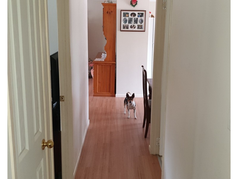 115 River Pines Rd, Gin Gin QLD 4671