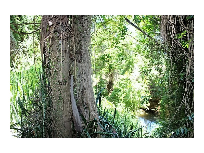 33785 Bruce Hwy, Gin Gin QLD 4671