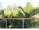 4 Village Lane, Gin Gin QLD 4671