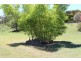 2 Railway St, Mount Perry QLD 4671