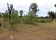 567 Neilsons Road, Good Night QLD 4671