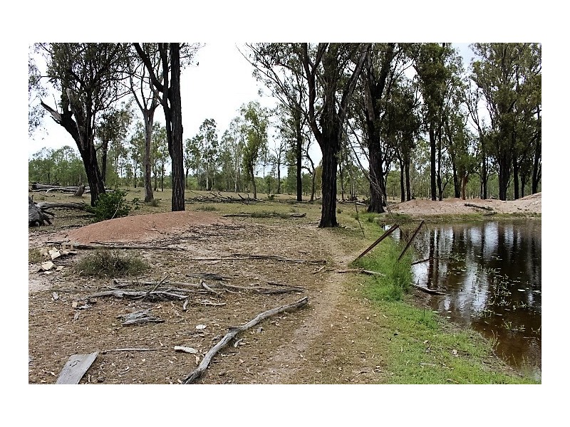 567 Neilsons Road, Good Night QLD 4671