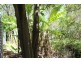 187 Mooney Rd, Gaeta QLD 4671