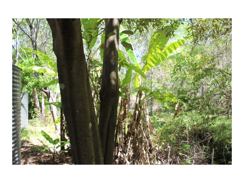 187 Mooney Rd, Gaeta QLD 4671