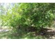 187 Mooney Rd, Gaeta QLD 4671