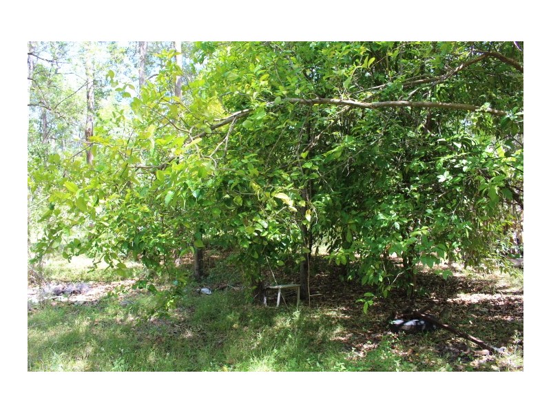 187 Mooney Rd, Gaeta QLD 4671