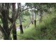 51 Scotneys Rd, Gin Gin QLD 4671