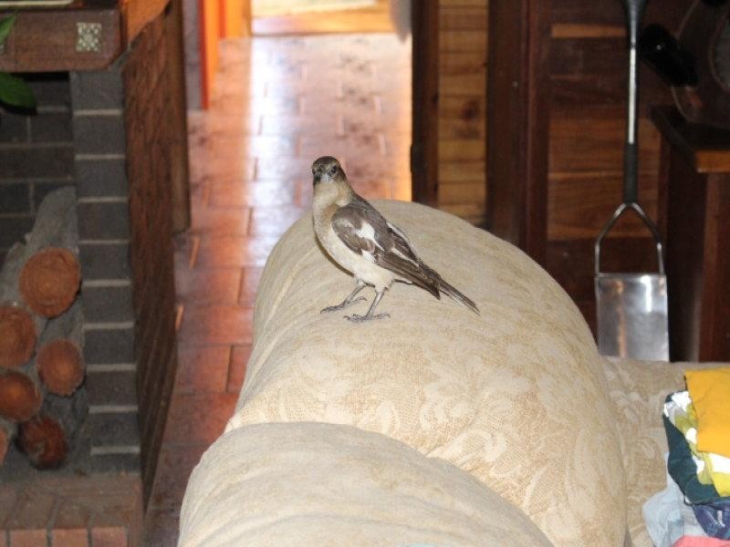 238 Settlement Rd, Gin Gin QLD 4671