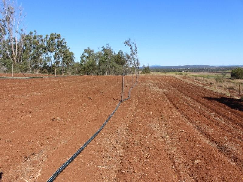498 Mcllwraith Rd, Gin Gin QLD 4671