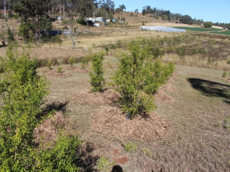 498 Mcllwraith Rd, Gin Gin QLD 4671