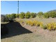 142 Bania Rd, Mount Perry QLD 4671