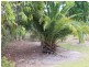 Mount Perry QLD 4671
