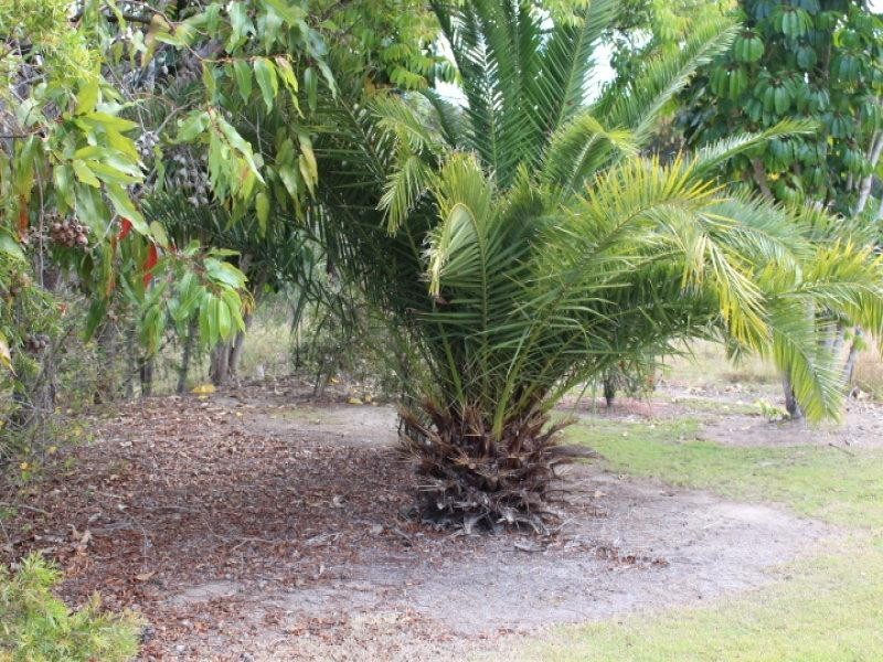 Mount Perry QLD 4671