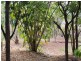 Mount Perry QLD 4671