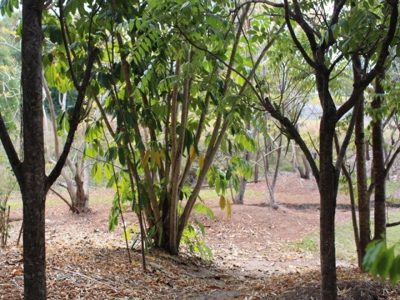 Mount Perry QLD 4671