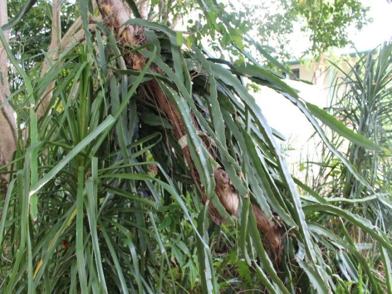 Mount Perry QLD 4671