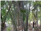 Mount Perry QLD 4671