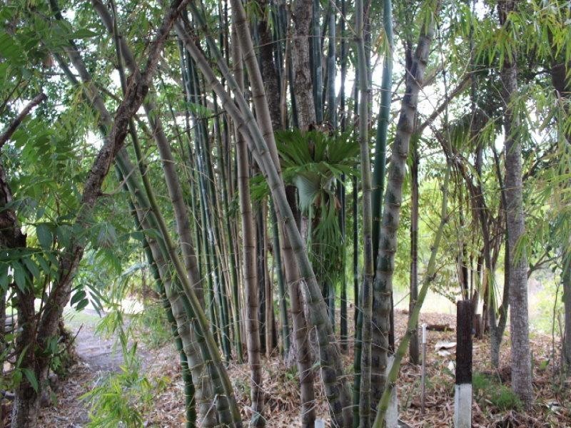 Mount Perry QLD 4671