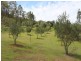 1532 Gaeta Rd, Gin Gin QLD 4671