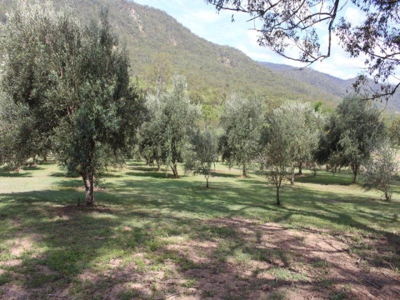1532 Gaeta Rd, Gin Gin QLD 4671