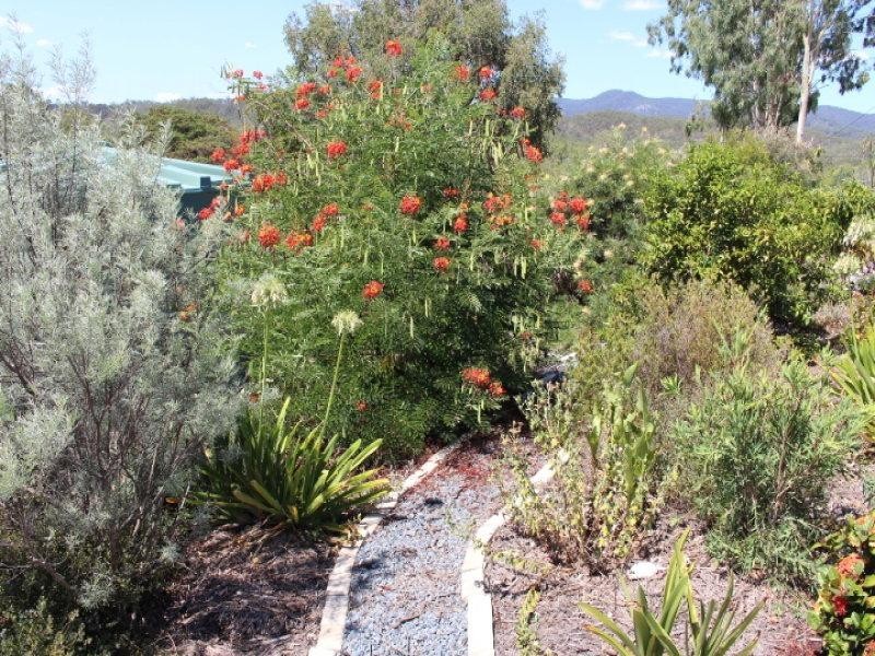 24 Mason St, Mount Perry QLD 4671