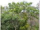 313 Moolboolaman, Gin Gin QLD 4671