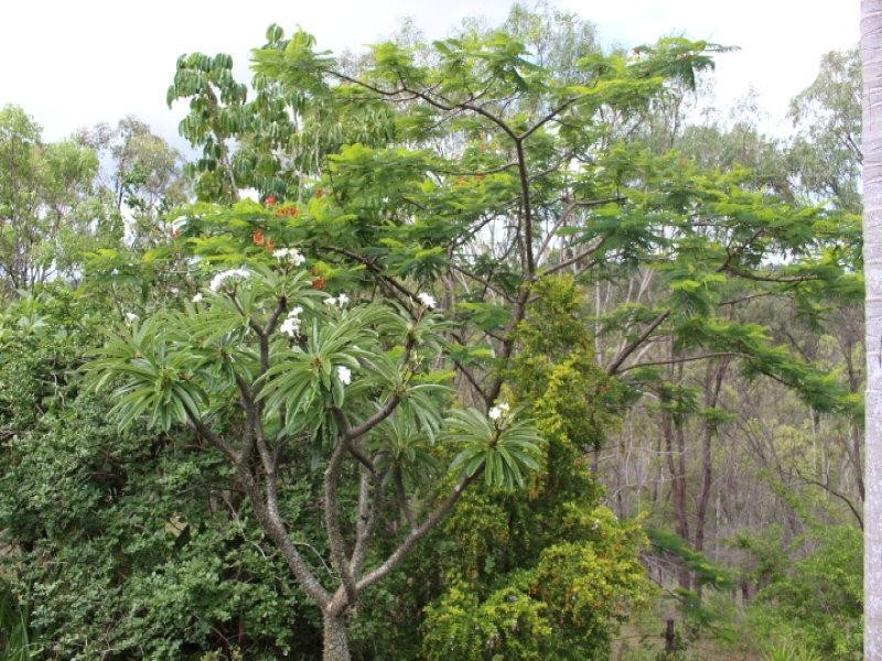 313 Moolboolaman, Gin Gin QLD 4671