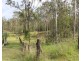 24 Brandons Road, Horse Camp QLD 4671