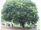 Gin Gin QLD 4671