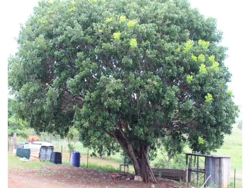 Gin Gin QLD 4671