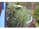 211 HH Innes Rd, Gin Gin QLD 4671