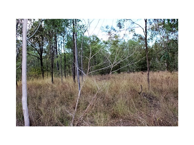 1195 Gin Gin Mt Perry Rd, Gin Gin QLD 4671